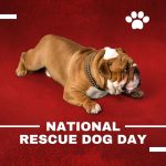 Rescure Dog Day