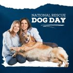 Rescure Dog Day