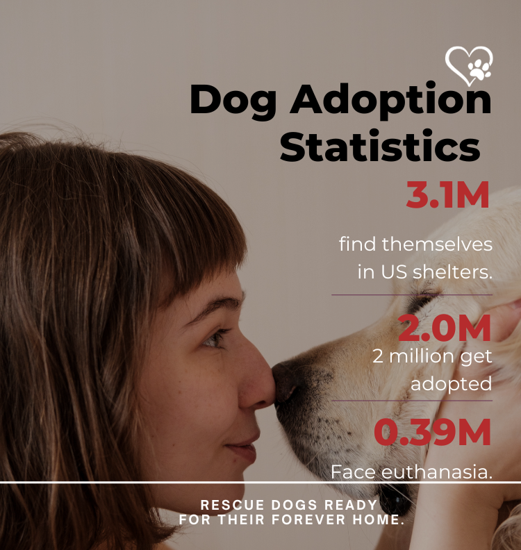 Dog Adoption Statistics